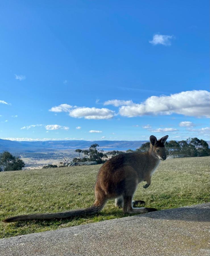 Altitude 1260 Villa Jindabyne Luaran gambar