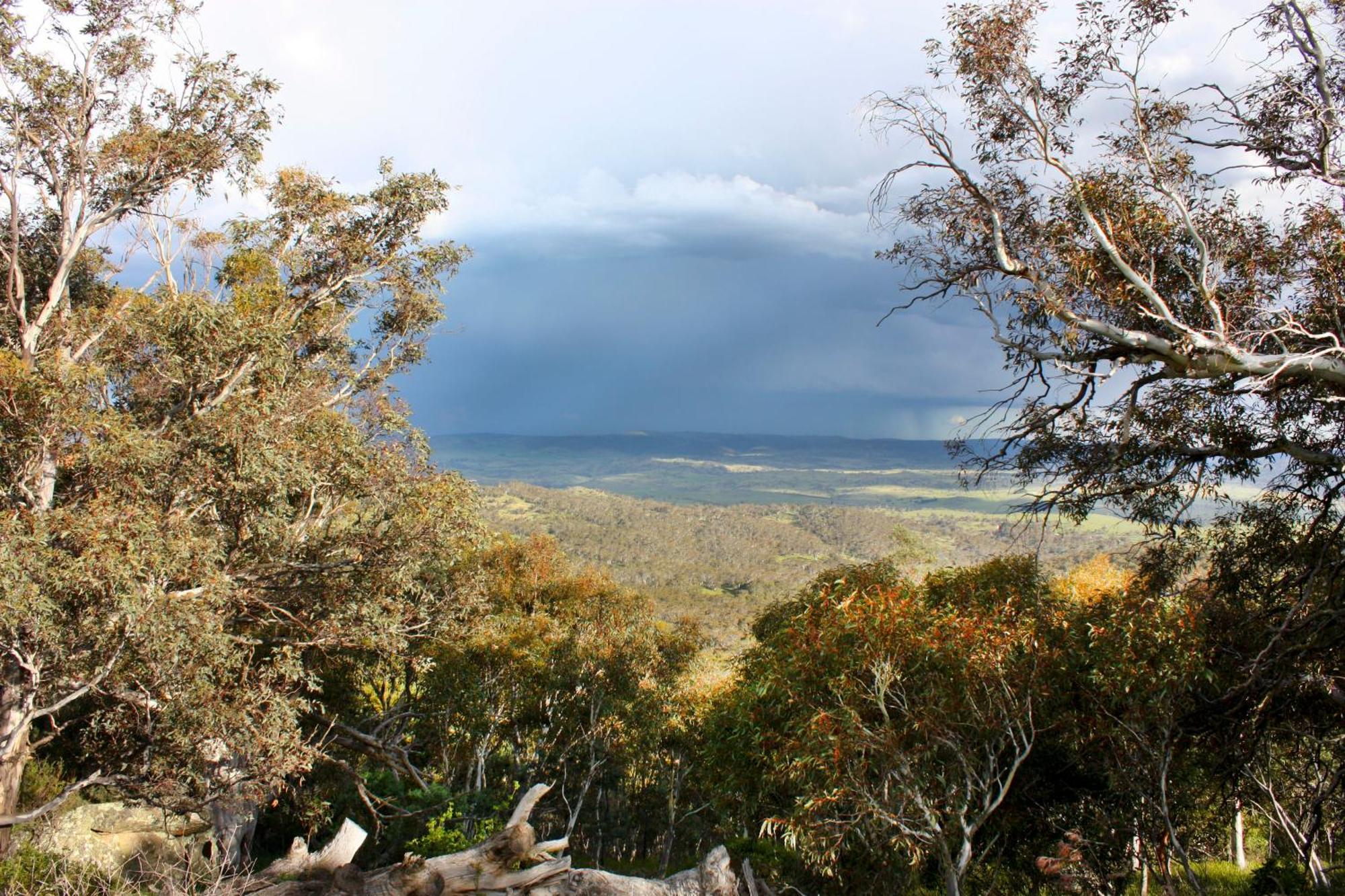 Altitude 1260 Villa Jindabyne Luaran gambar