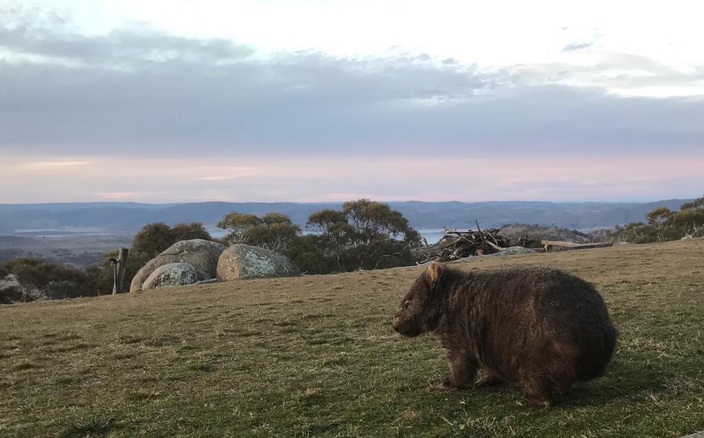 Altitude 1260 Villa Jindabyne Luaran gambar