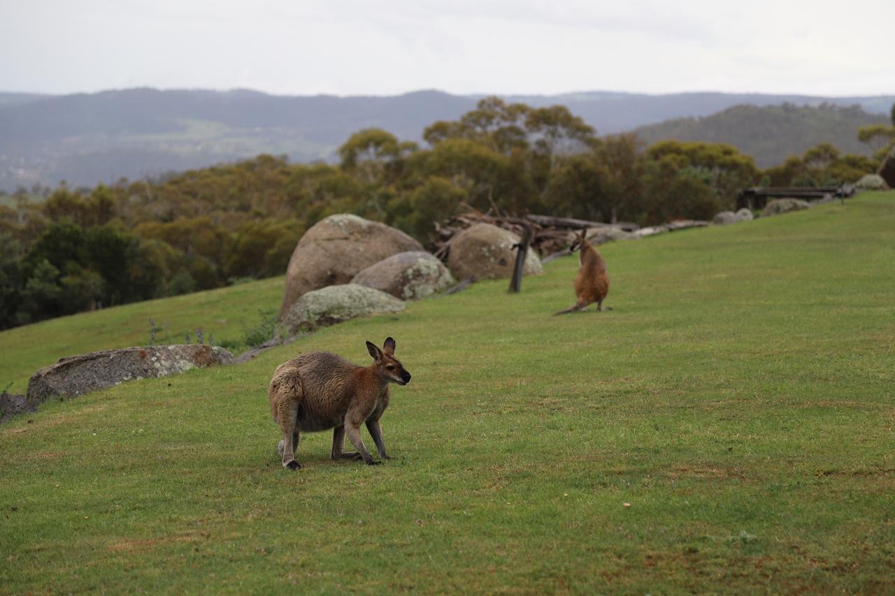 Altitude 1260 Villa Jindabyne Luaran gambar
